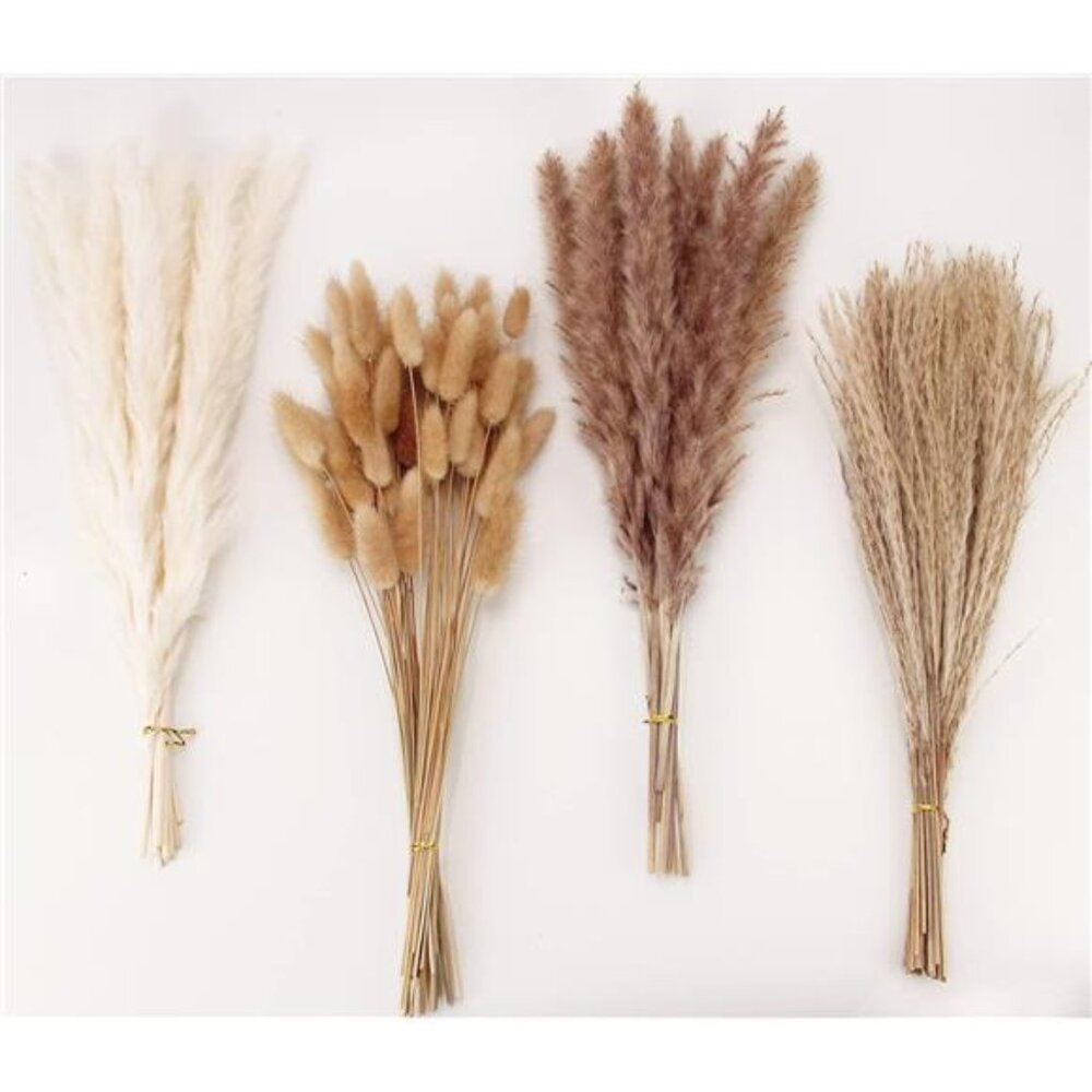 Dried Pampas Grass Decor, 100 PCS w/ Bunny Tails & Reed Grass, Boho Rustic Bouqt